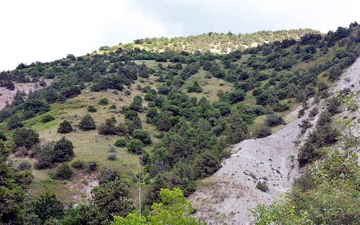 khosrov-forest-state-reserve.jpg